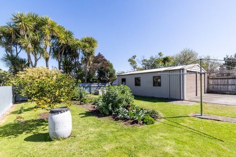 Photo of property in 407 Awatea Street, Akina, Hastings, 4122