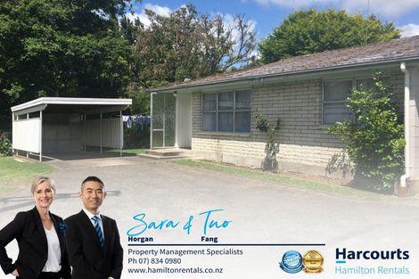 Photo of property in 2/47 Horne Street, Hamilton Central, Hamilton, 3204