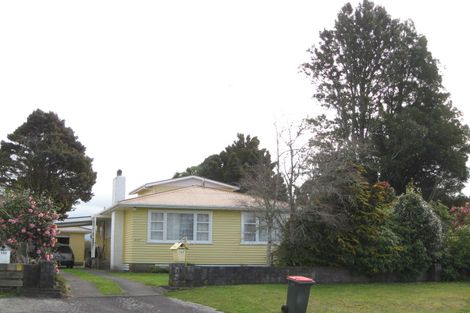 Photo of property in 137 Brecon Road, Stratford, 4332