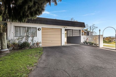 Photo of property in 23 Bexhill Terrace, Tirau, 3410