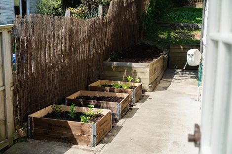 Photo of property in 244 Taieri Road, Wakari, Dunedin, 9010