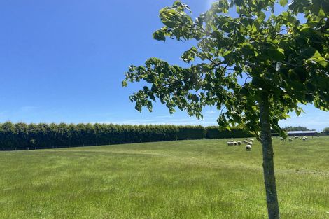 Photo of property in 22 Wills Road, West Plains, Invercargill, 9874