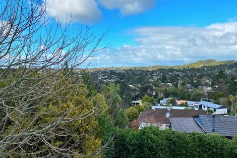 Photo of property in 18 Shetland Street, Glen Eden, Auckland, 0602
