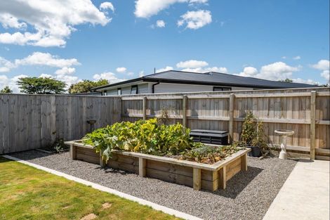 Photo of property in 7 Tuatahi Avenue, Solway, Masterton, 5810
