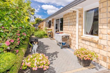 Photo of property in 44 Limousin Place, Grandview Heights, Hamilton, 3200