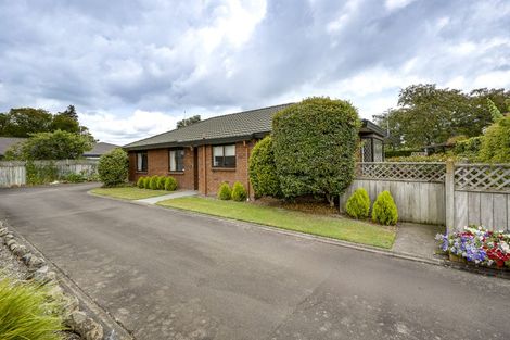 Photo of property in 706a York Street, Mahora, Hastings, 4120