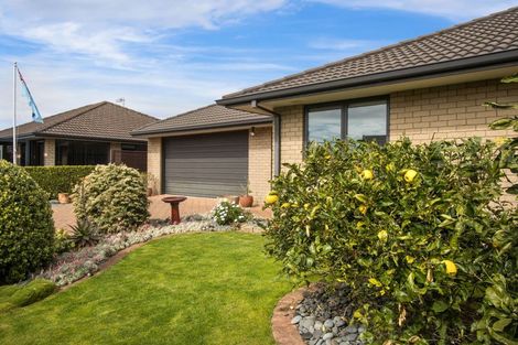 Photo of property in 21 Cresta Drive, Katikati, 3129