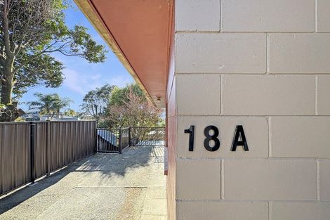 Photo of property in 18 Ridout Street, Maeroa, Hamilton, 3200