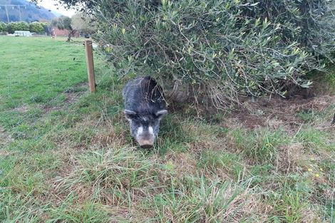 Photo of property in 23 Rameka Creek Road, Motupipi, Takaka, 7183