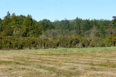 Photo of property in 794 State Highway 7, Dobson, Greymouth, 7805