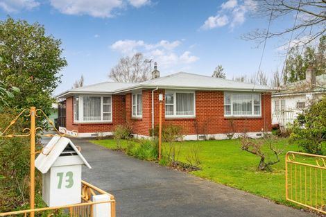 Photo of property in 73 Herbert Street, Masterton, 5810