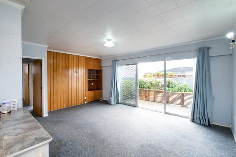 Photo of property in 602b Ballantyne Street, Frimley, Hastings, 4120