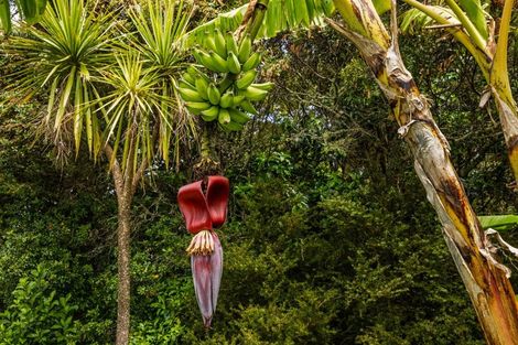 Photo of property in 409 Puketotara Road, Waipapa, Kerikeri, 0295