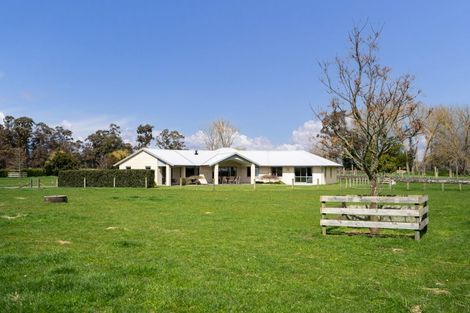 Photo of property in 3/88 Lamb Street, Leamington, Cambridge, 3495