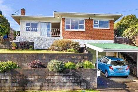 Photo of property in 44 Essex Street, Vogeltown, New Plymouth, 4310