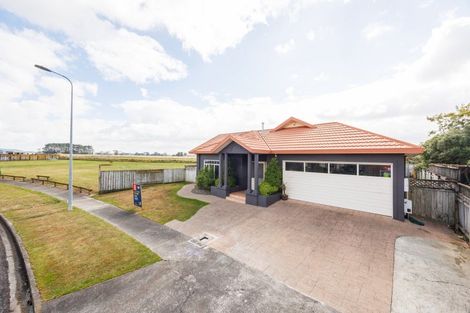 Photo of property in 38 Leander Place, Milson, Palmerston North, 4414