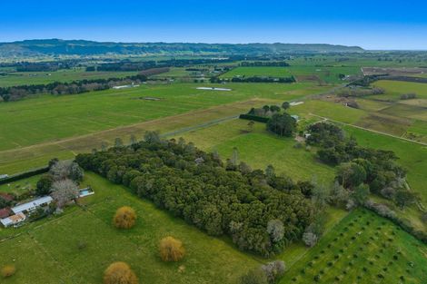 Photo of property in 449 Grieve Road, Te Teko, Whakatane, 3193