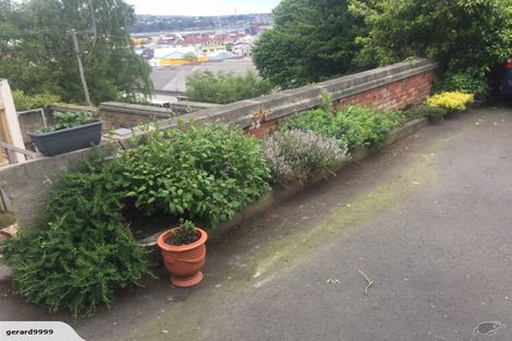 Photo of property in 53 Manor Place, Dunedin Central, Dunedin, 9016