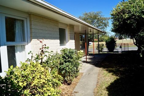 Photo of property in 16 Hawkswood Street, Waiau, 7332