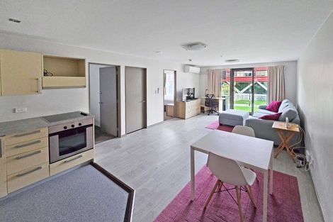 Photo of property in Dual Apartments, 208/142 Vivian Street, Te Aro, Wellington, 6011