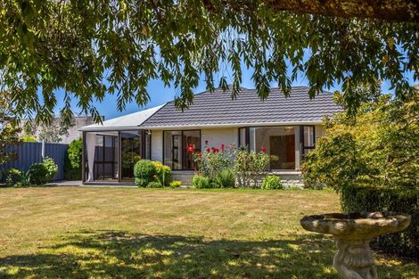 Photo of property in 20c Essex Street, Masterton, 5810