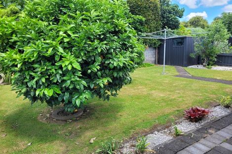 Photo of property in 4/109 Seventeenth Avenue, Tauranga South, Tauranga, 3112