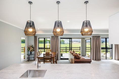 Photo of property in 21 Meavy Lane, Ashhurst, Palmerston North, 4470