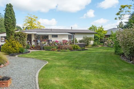 Photo of property in 5 Harris Street, Geraldine, 7930