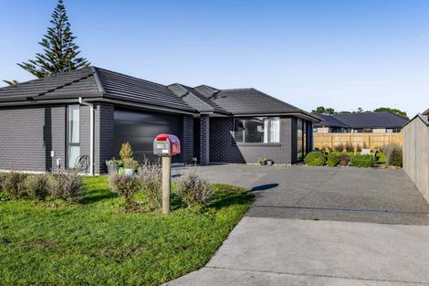 Photo of property in 130b Manawapou Road, Hawera, 4610