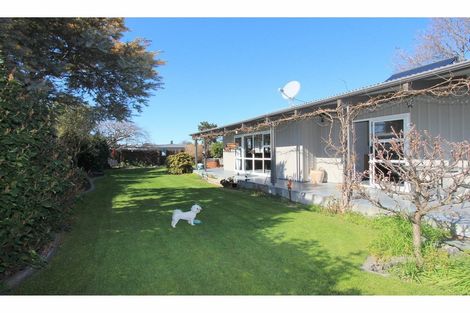 Photo of property in 58 Leefield Street, Blenheim, 7201