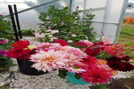 Photo of property in 426 Te Rahu Road, Poroporo, Whakatane, 3192