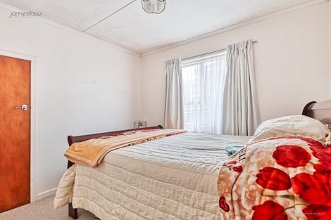 Photo of property in 50 Webster Avenue, Mount Roskill, Auckland, 1041