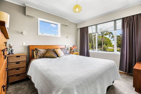 Photo of property in 116 Mackay Street, Thames, 3500