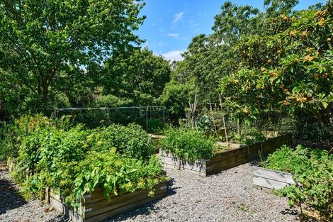 Photo of property in 96 Arcus Road, Te Horo, Otaki, 5582