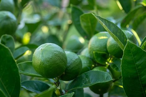 Photo of property in 29a Golf Vue Place, Castlecliff, Whanganui, 4501