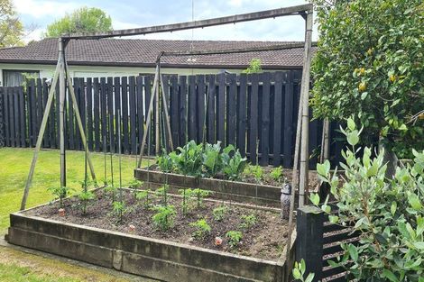 Photo of property in 19 Rhonda Place, Opaheke, Papakura, 2113