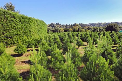 Photo of property in Li199b, 14 Scarrott Road, Bay View, Napier, 4104