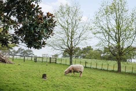 Photo of property in 1378 Kakaramea Road, Ngahinapouri, Ohaupo, 3882