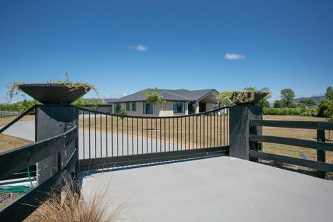 Photo of property in 78 James Avenue, Matamata, 3472