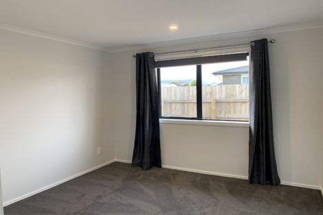 Photo of property in 98 Hinemoa Street, Levin, 5510
