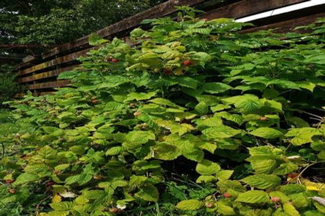 Photo of property in 13 Moonstone Grove, Birchville, Upper Hutt, 5018