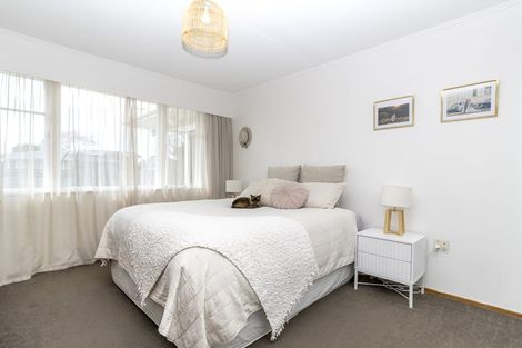 Photo of property in 151 Limbrick Street, Terrace End, Palmerston North, 4410