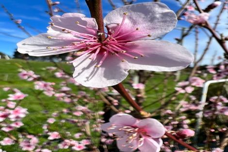 Photo of property in 1 Clough Road, Paroa, Greymouth, 7805