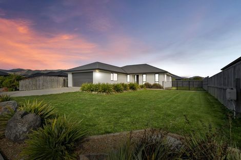 Photo of property in 39 Kahikatea Way, Appleby, Richmond, 7020