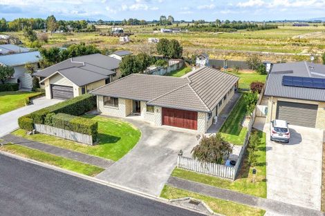 Photo of property in 15 Benner Drive, Ngatea, 3503