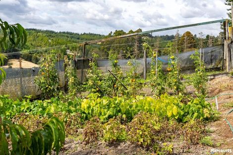 Photo of property in 146 Eden Road, Tasman, Upper Moutere, 7175