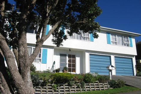 Photo of property in 43 John Sims Drive, Broadmeadows, Wellington, 6035