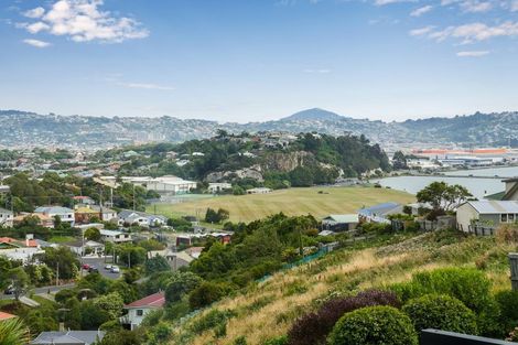 Photo of property in 6 Kinvig Street, Andersons Bay, Dunedin, 9013