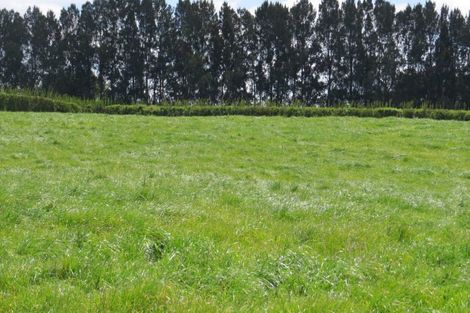 Photo of property in 58 Ryburn Road, Ohaupo, 3883