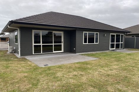 Photo of property in 38 Mcnaughton Place, Onekawa, Napier, 4110